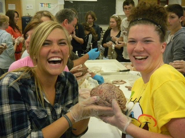 Charlotte Thomas and Madelyn Ritten show their enthusiasm as they get the one in a life time chance to hold a human brain.  Most of the students participated with holding and passing the brains around.  All the AP Psychology classes had this opportunity. 