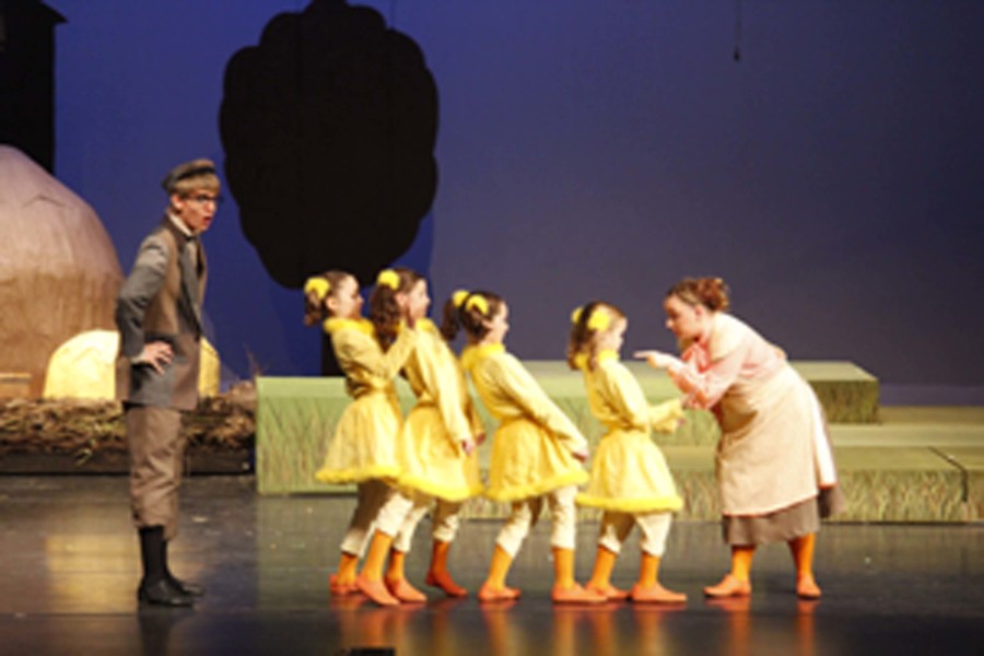 Theatre production of 'The Ugly Duckling' results in beautiful performances