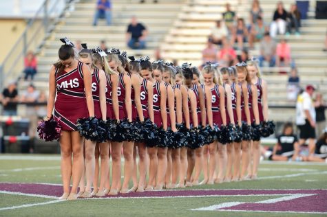 Milford Pom standing ready to perform.