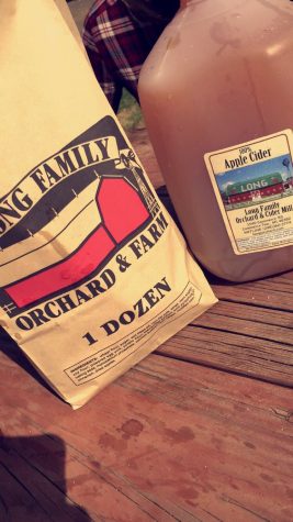 Trip to Longs Farm with cider and doughnuts