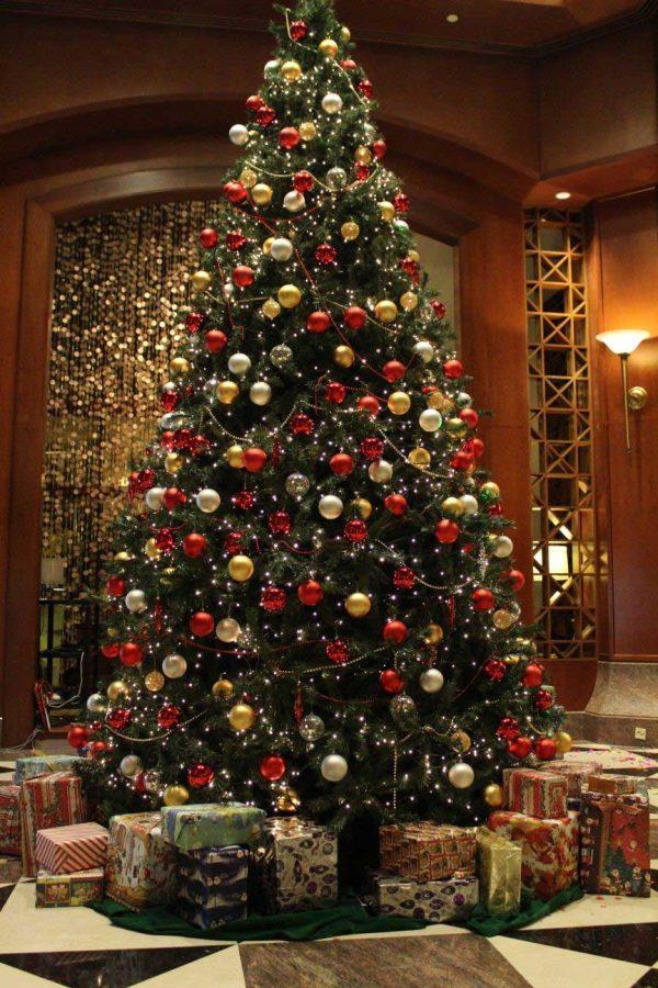 Your guide to the best Christmas trees this season