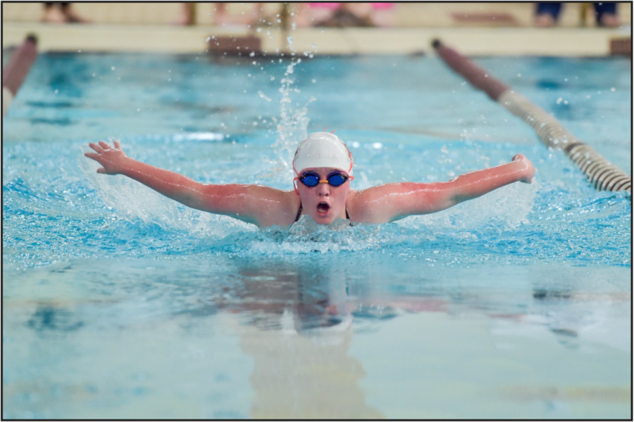 Senior+Alaina+Grady++swimming%0A