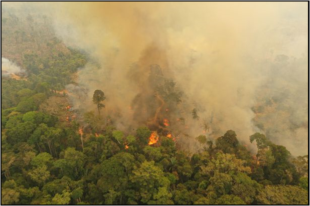 The Amazon in flames due to slash-and-burn agriculture.