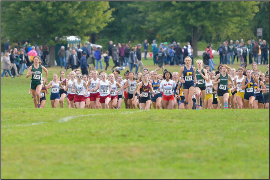 The Girls Cross Country team leading the field at the start of the county meet 