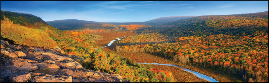 A beautiful view of one of Michigan's very abundant forests (photo courtesy of Michigan.org)