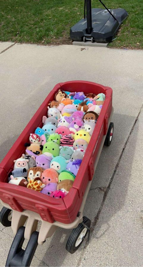 Senior Claire Adams and her sisters have expanded their Squishmallow collection to 143 stuffed animals; shown above is a portion of their collection (Photo courtesy of Claire Adams).
