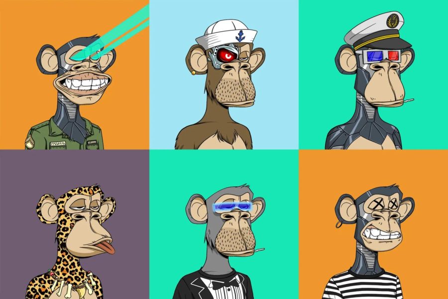 A collection of Bored Ape NFTs, currently among the most popular being sold. They are can be used as avatars on social media such as Twitter 