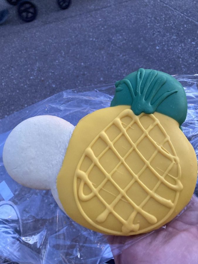 Walt Disney Worlds various park snacks reviewed