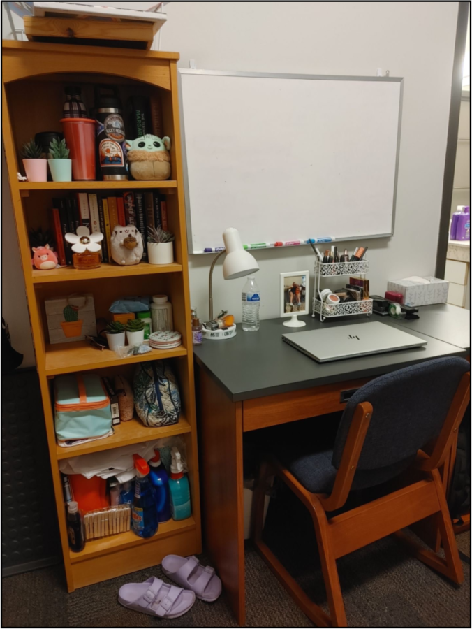 DePaul+freshmen+Riley+Coesens+decorated+her+desk+and+bookshelf+to+remind+her+of+her+own+house+