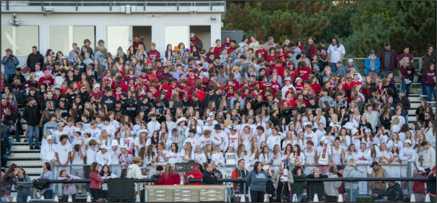 The Mavpack reps the class color theme at the homecoming football game against Waterford Mott.
