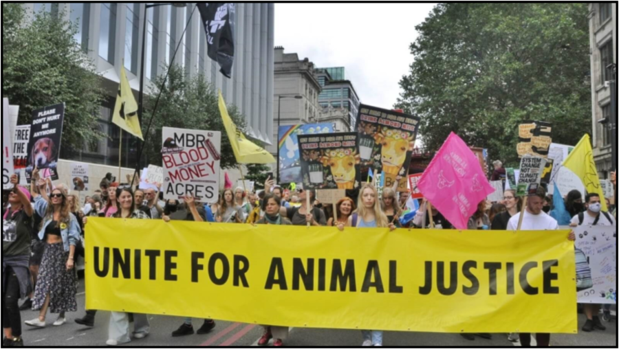 A+group+of+people+coming+together+to+protest+for+animal+rights.+%28Photo+courtesy+of+Plant+Based+News%29.%0A