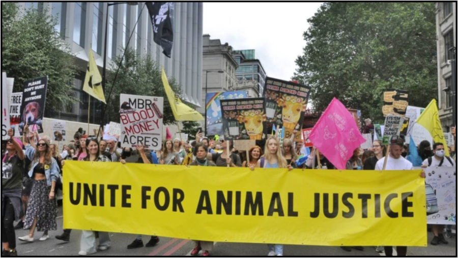 A group of people coming together to protest for animal rights. (Photo courtesy of Plant Based News).
