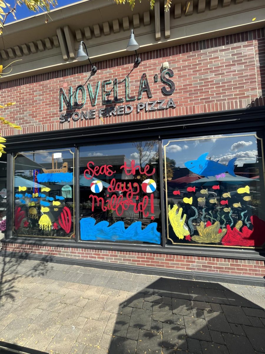 Windows of Novellas Pizza